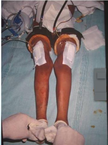 _page_20_Picture_2.jpeg|313x421