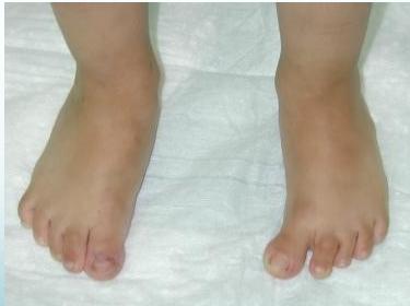 _page_32_Picture_4.jpeg|280x209