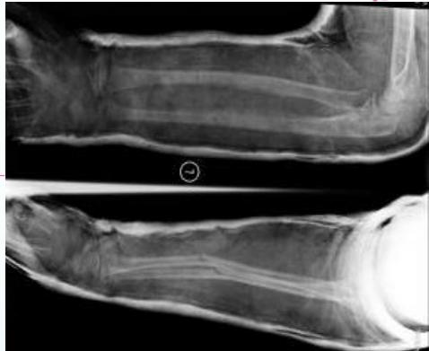 _page_8_Picture_3.jpeg|323x264