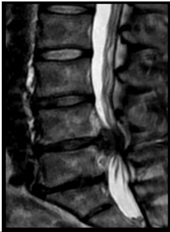 _page_49_Picture_4.jpeg|277x377