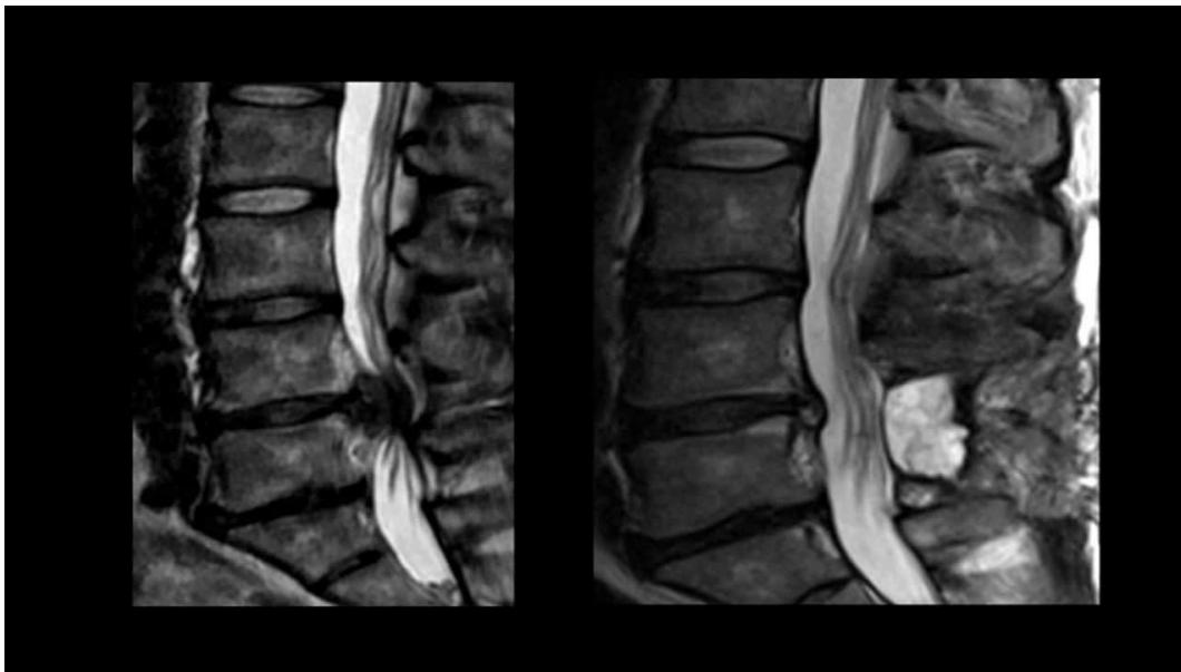 _page_50_Picture_4.jpeg|419x239