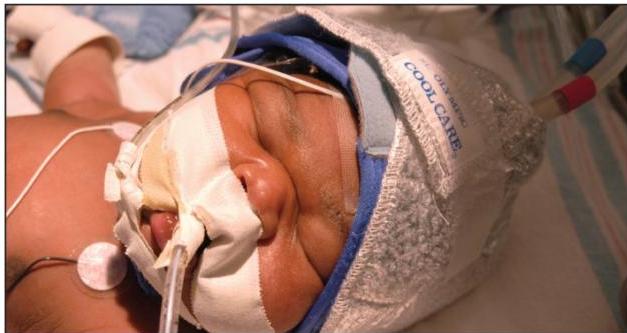 img-105.jpeg|294x156