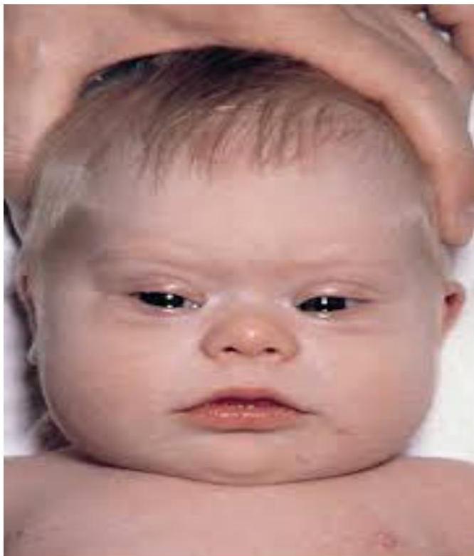 img-108.jpeg|206x242