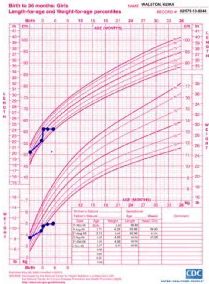 img-126.jpeg|242x329