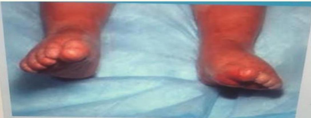 img-157.jpeg|333x127