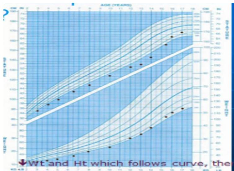 img-202.jpeg|497x364