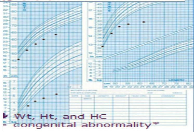 img-204.jpeg|412x281