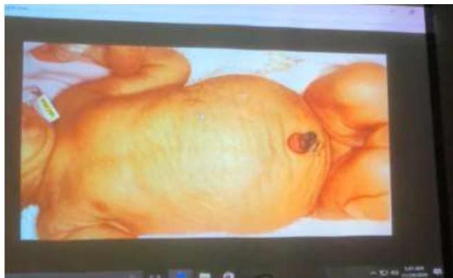 img-208.jpeg|347x272