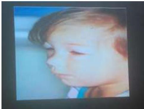 img-210.jpeg|190x223