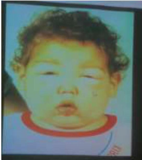 img-212.jpeg|222x250