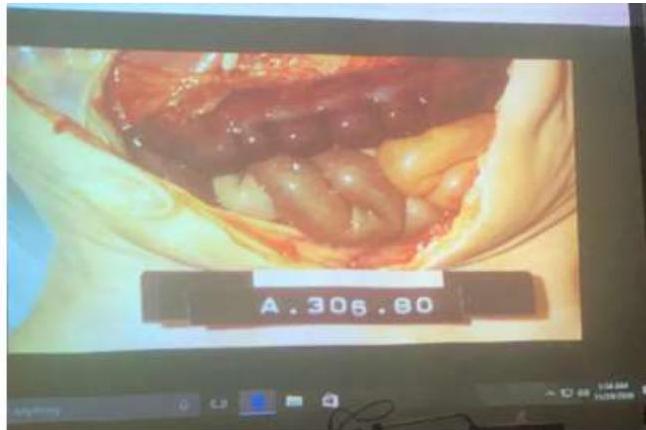 img-216.jpeg|270x180