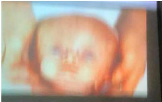 img-223.jpeg|253x159