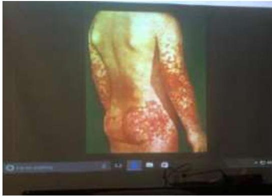 img-225.jpeg|214x234