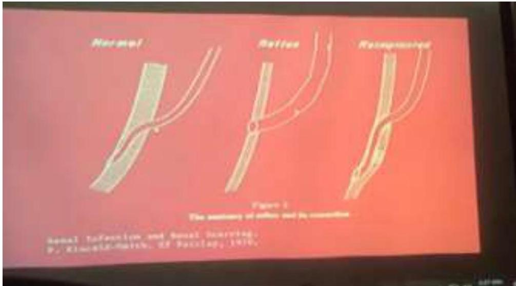 img-231.jpeg|422x234