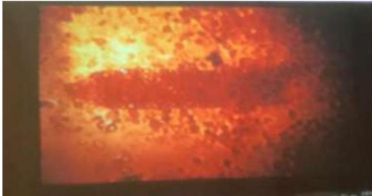 img-232.jpeg|349x184