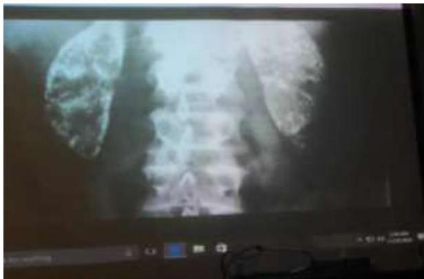 img-234.jpeg|382x251