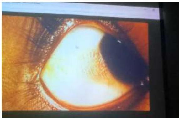 img-237.jpeg|345x228