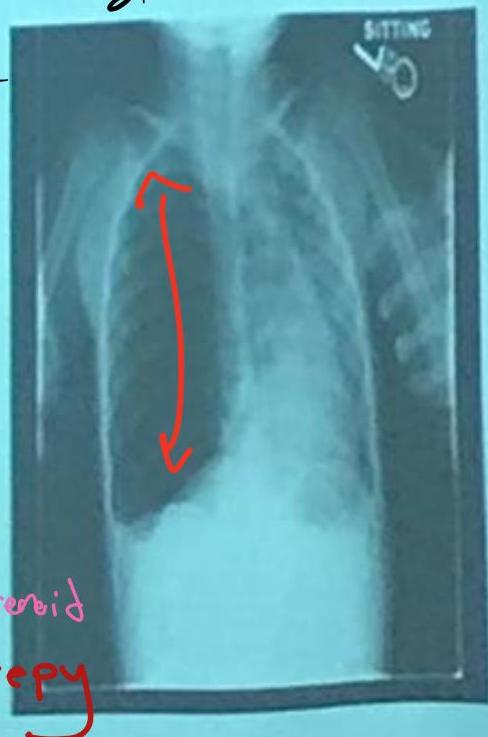 img-275.jpeg|256x387