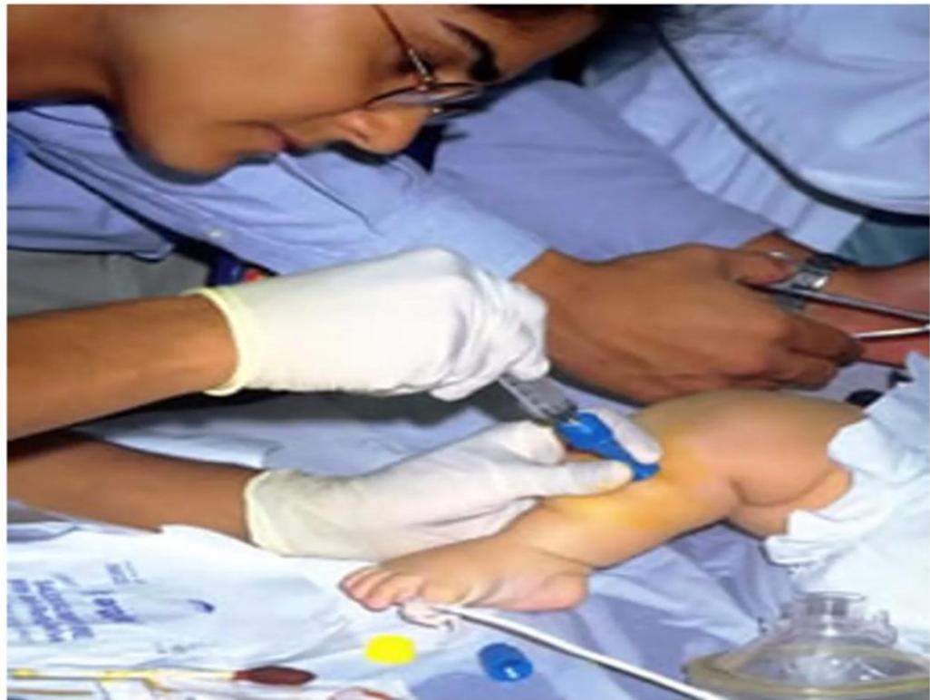 img-289.jpeg|353x266