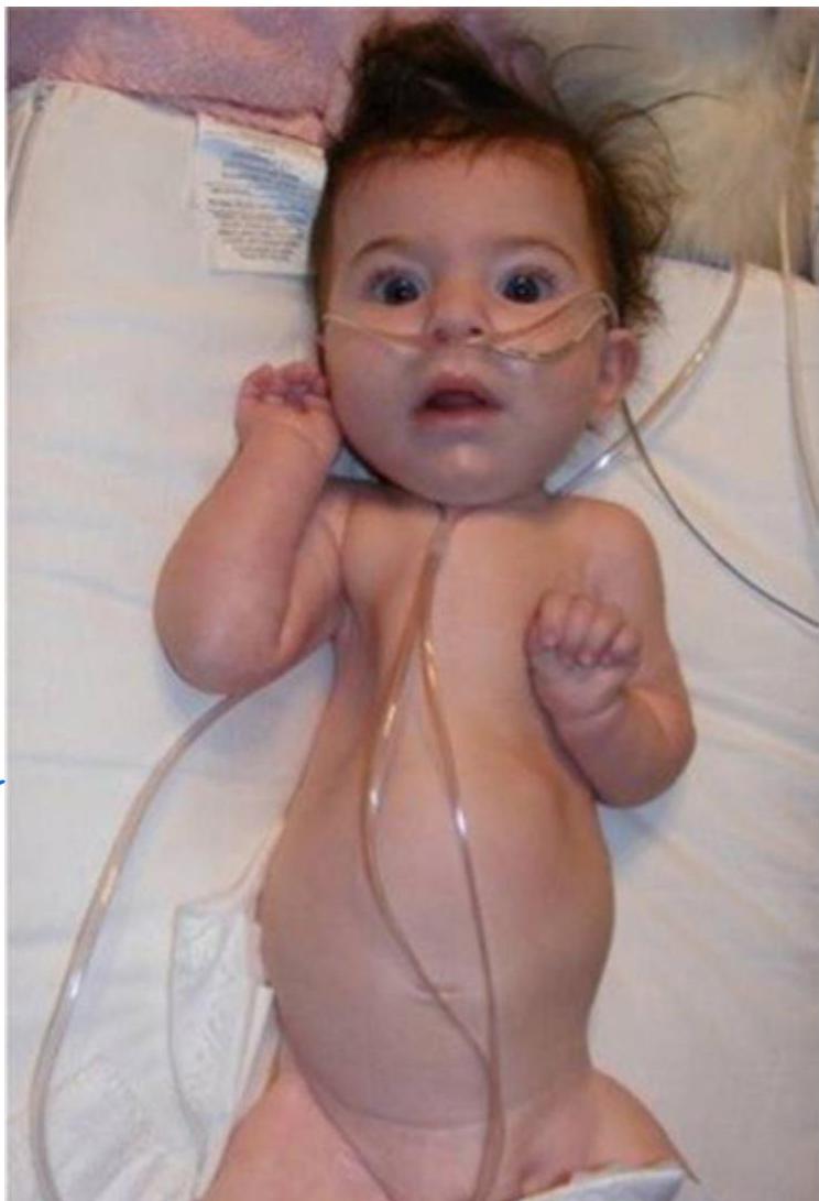 img-353.jpeg|243x356