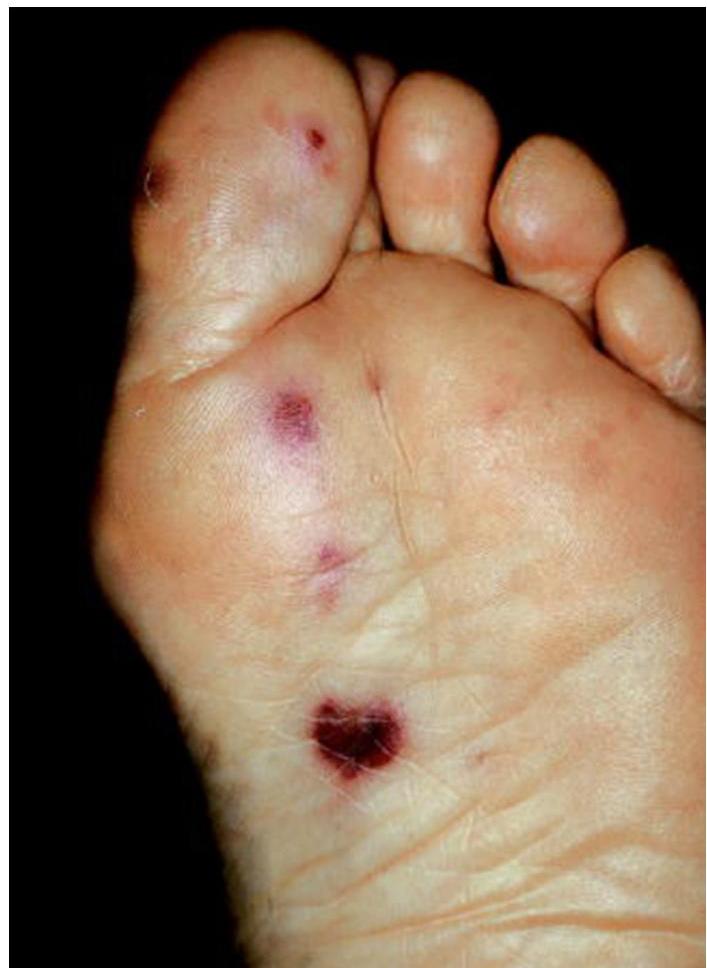 img-360.jpeg|202x277