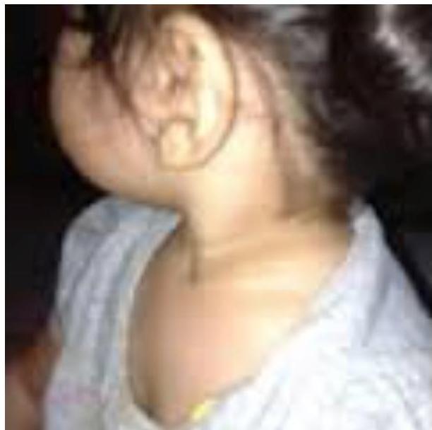 img-406.jpeg|205x204