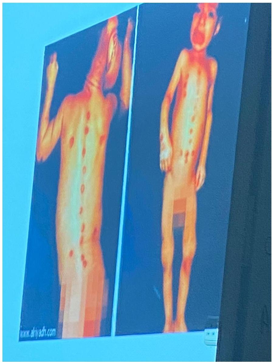 img-411.jpeg|278x370