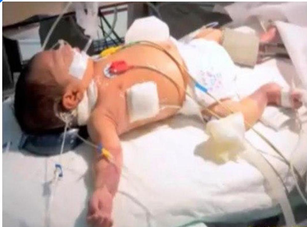 img-420.jpeg|304x225