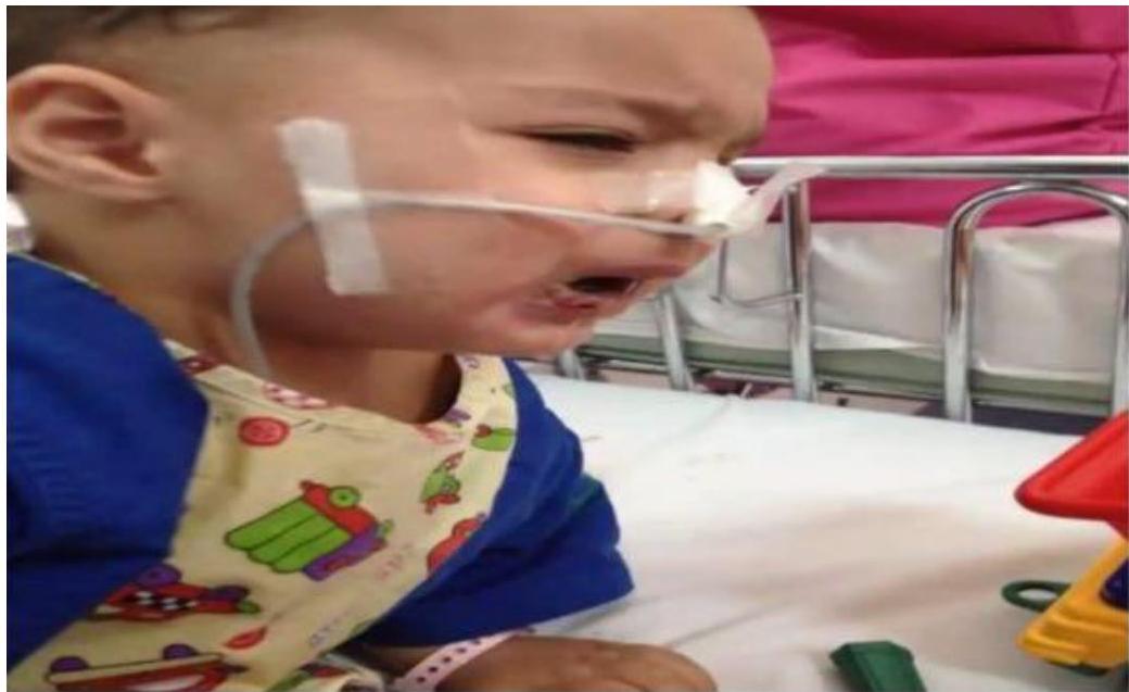 img-422.jpeg|324x341