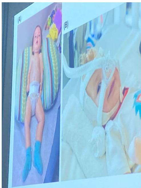 img-437.jpeg|446x359