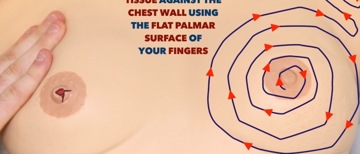 Palpation with flats of fingers