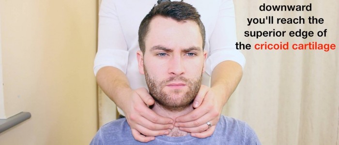 Thyroid palpation