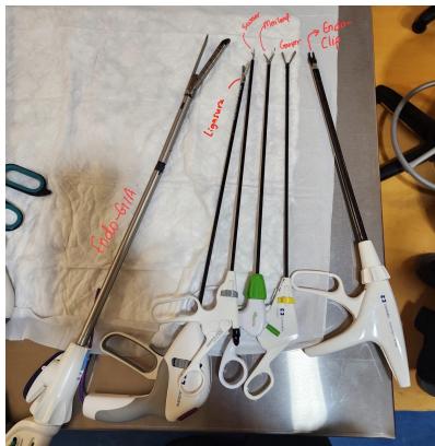 Laparoscopic instrument tray