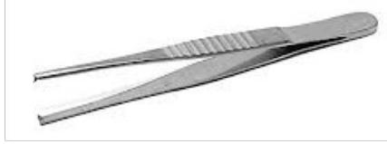 Toothed dissection forceps