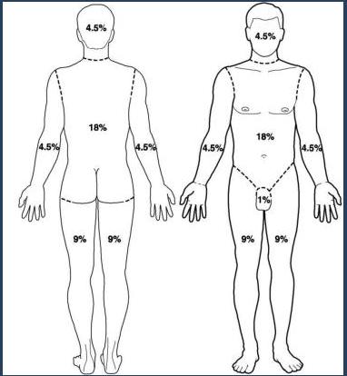 img-13.jpeg