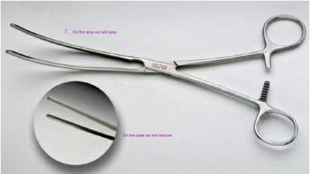img-63.jpeg